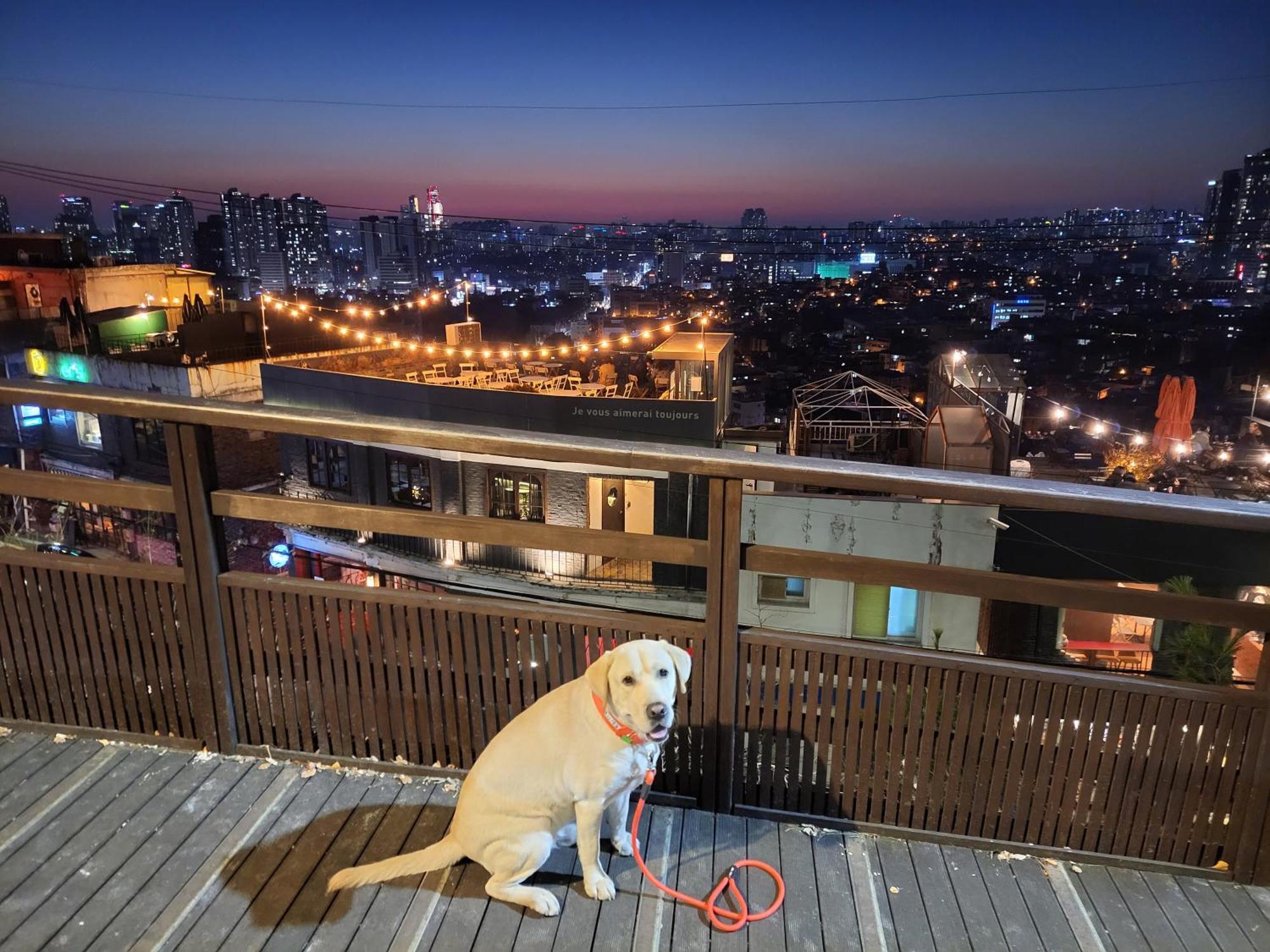 Brand New 2 Bedroom Apartment #6 Seul Esterno foto